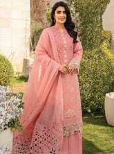 Rang Rasiya Embroidered Lawn Suits Unstitched 3 Piece RR24PE D-07 Parisa – Summer Eid Collection–