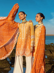 Zainab Chottani Chikankari Lawn Suits Unstitched 3 Piece ZC24CL D-8B Afsana – Summer Collection-