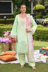 Lifestyle by Rang Rasiya Embroidered Lawn Suits Unstitched 3 Piece RR25V07SL D-13 Zubia – Summer Collection