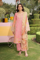Lifestyle by Rang Rasiya Embroidered Lawn Suits Unstitched 3 Piece RR25V07SL D-12 Vaneeza – Summer Collection