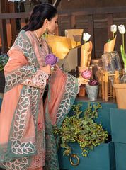 Rang Rasiya Embroidered Lawn Suits Unstitched 3 Piece RR24PE D-03 Rania – Summer Eid Collection–