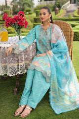 Lifestyle by Rang Rasiya Embroidered Lawn Suits Unstitched 3 Piece RR25V07SL D-01 Waliya- Summer Collection