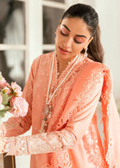 Qalamkar Embroidered Lawn Suits Unstitched 3 Piece QLM25LL SB-12 Jafa – Summer Collection