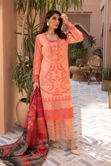 Carnation By Rang Rasiya Embroidered Karandi Suits Unstitched 3 Piece RR23FLL D-17 Miray – Winter Collection