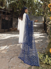 Serina by Salitex Embroidered Chikankari Lawn Suits Unstitched 3 Piece SSW6U3P033UT – Luxury Collection