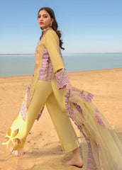Rang Rasiya Embroidered Lawn Suits Unstitched 3 Piece RR23SP 05 Isabella – Premium Collection