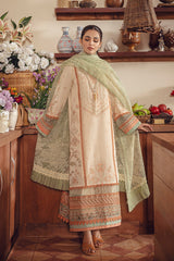 Rang Rasiya Embroidered Lawn Suits Unstitched 3 Piece RR22EL 13 Kiwi – Summer Collection