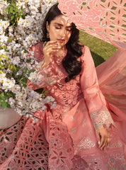Rang Rasiya Embroidered Lawn Suits Unstitched 3 Piece RR24PE D-07 Parisa – Summer Eid Collection–