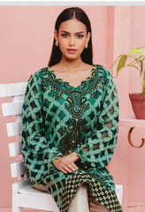 Al-Zohaib Elanoor Formal Collection