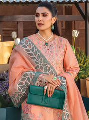 Rang Rasiya Embroidered Lawn Suits Unstitched 3 Piece RR24PE D-03 Rania – Summer Eid Collection–