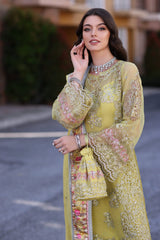 Noor By Saadia Asad Chiffon Handwork Schiffli Laserkari Collection