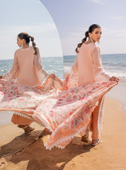 Zainab Chottani Chikankari Lawn Suits Unstitched 3 Piece ZC24CL D-2A Nora – Summer Collection-