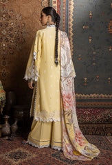 Adan Libas Luxury Chikankari Lawn Embroidered Series by Ayesha Zia -ALAZ-08