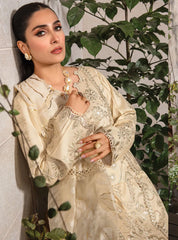 Rang Rasiya Embroidered Lawn Suits Unstitched 3 Piece RR24PE D-02 Haya – Summer Eid Collection–