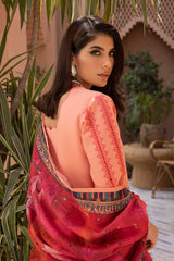 Carnation By Rang Rasiya Embroidered Karandi Suits Unstitched 3 Piece RR23FLL D-17 Miray – Winter Collection