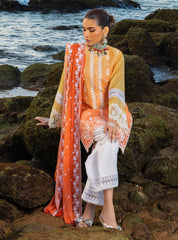 Zainab Chottani Chikankari Lawn Suits Unstitched 3 Piece ZC24CL D-8B Afsana – Summer Collection-