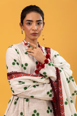Sana Safinaz Embroidered Khaddar Suits Unstitched 3 Piece H243-001B-3CQ – Luxury Winter Collection