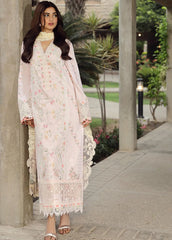 Qalamkar Chikankari Lawn Suit Unstitched 3 Piece QLM24F PS-03 Irsa – Festive Collection–