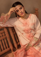 Rang Rasiya Embroidered Lawn Suits Unstitched 3 Piece RR23PE Marganite – Eid Collection