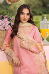 Lifestyle by Rang Rasiya Embroidered Lawn Suits Unstitched 3 Piece RR25V07SL D-12 Vaneeza – Summer Collection