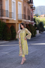 Noor By Saadia Asad Chiffon Handwork Schiffli Laserkari Collection