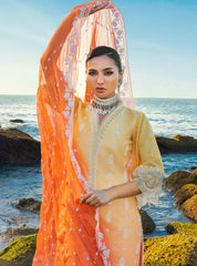 Zainab Chottani Chikankari Lawn Suits Unstitched 3 Piece ZC24CL D-8B Afsana – Summer Collection-