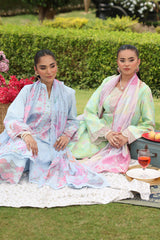 Lifestyle by Rang Rasiya Embroidered Lawn Suits Unstitched 3 Piece RR25V07SL D-13 Zubia – Summer Collection