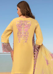 Rang Rasiya Embroidered Lawn Suits Unstitched 3 Piece RR23SP 05 Isabella – Premium Collection