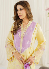 Pretty In Pink By Asifa And Nabeel Embroidered Lawn Suit Unstitched 3 Piece AN24L PP-10 Versaila – Summer Collection