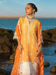 Zainab Chottani Chikankari Lawn Suits Unstitched 3 Piece ZC24CL D-8B Afsana – Summer Collection-