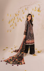 Asifa & Nabeel Meraki Summer Collection