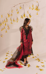 Asifa & Nabeel Meraki Summer Collection