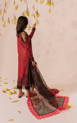 Asifa & Nabeel Meraki Summer Collection