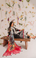 Asifa & Nabeel Meraki Summer Collection