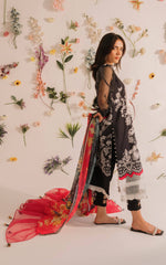 Asifa & Nabeel Meraki Summer Collection