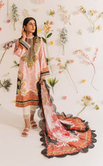 Asifa & Nabeel Meraki Summer Collection