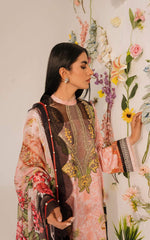 Asifa & Nabeel Meraki Summer Collection