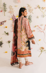 Asifa & Nabeel Meraki Summer Collection